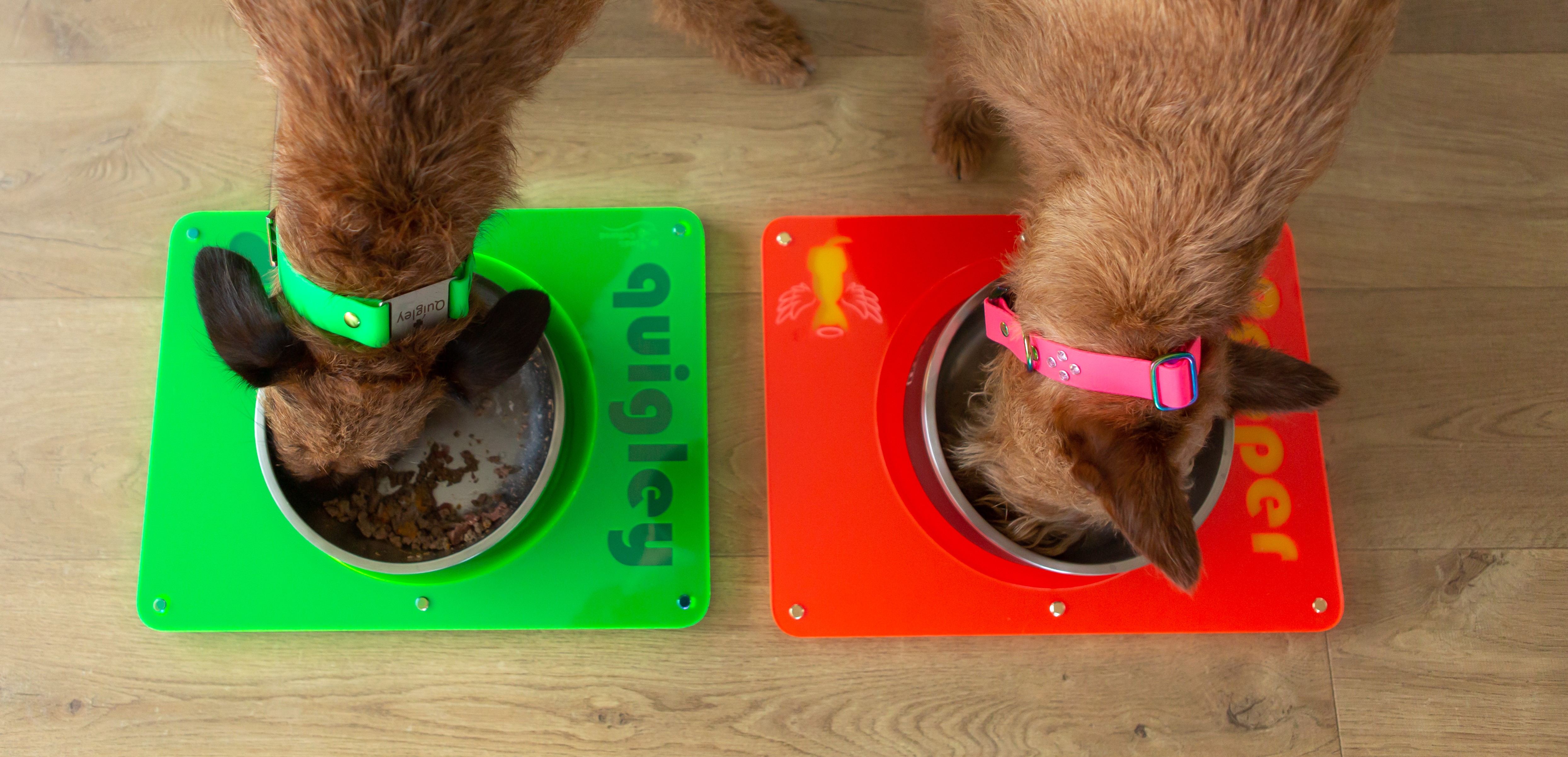 Personalised Dog Feeding Mats & Bowls Led & Collared NZ